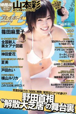 清平乐免费观看